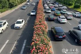 路越修越堵，只是错觉吗？图片