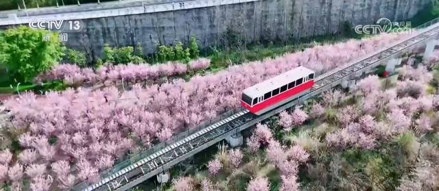 各地以“花”为媒点亮“美丽经济” 春日“颜值”加速转化为文旅“价值”