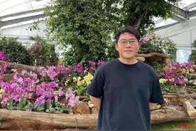 台湾小伙在成都乡村打造“蝴蝶兰雨林”，将30余种珍稀种带到世园会图片