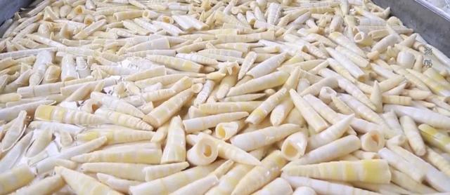 央视大片《珠江》里的花都⑤：山水滋养的田园至味