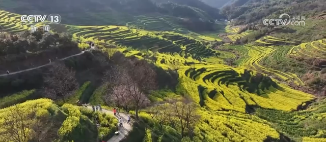 去踏青、共赏花，春意正浓！““春日经济”蓬勃绽放