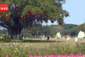 节后错峰出游成新宠 海口万绿园内游客享惬意时光图片