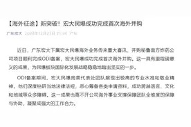 宏大民爆成功完成首次海外并购图片