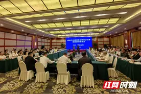 擦亮“湘”字号招牌 达漫电商为“湘品出湘”搭平台优服务图片