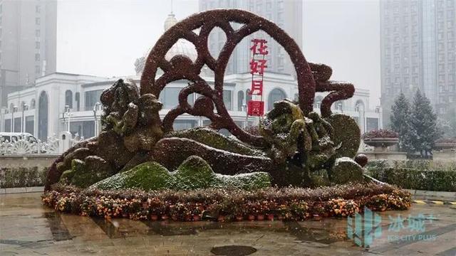 哈尔滨17日再迎降雪，五花山色映白雪宛如童话