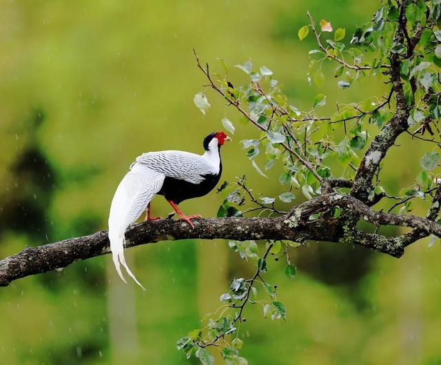 航旅融合 | 下一站三明！航旅同行，解锁藏在山水美食间的“独家惊喜”！