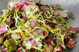 春季吃春菜 应时又美味图片