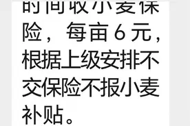 农户不买小麦保险就不能领补贴？山东一镇政府回应：买保险自愿，村干部理解政策有偏差，小麦补贴是直接发放到村民手中视频封面