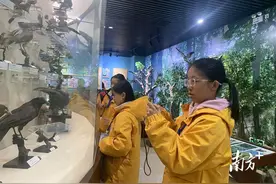 冬令营里瑶韵飘香，茂名10名孩子赴金秀图片