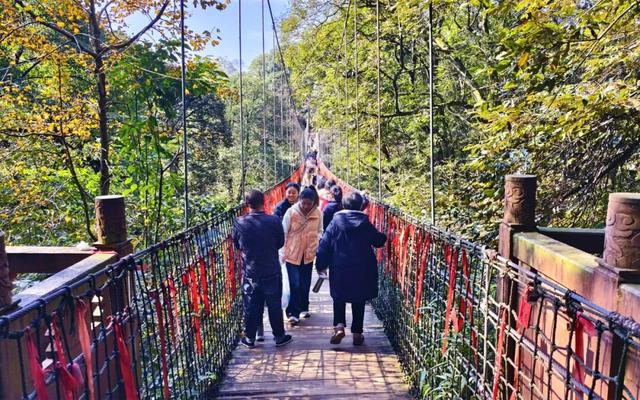 秋假遇上好天气 登高蒙顶赏山色