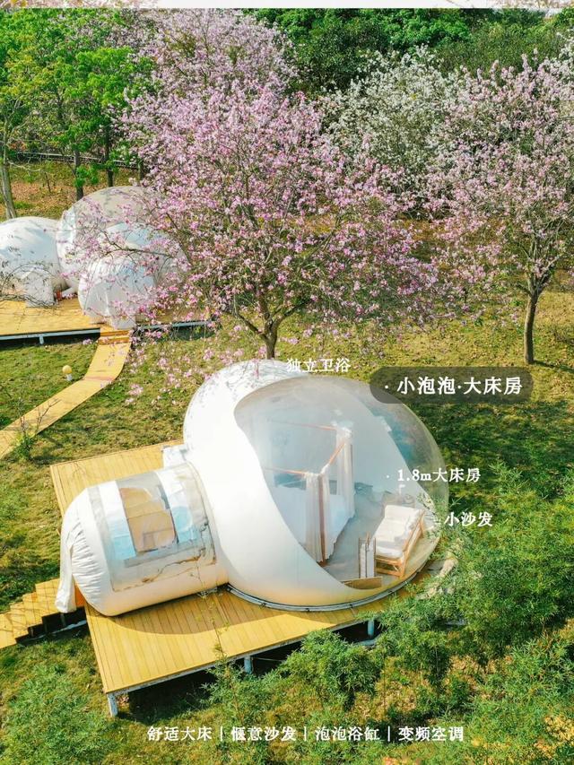 是时候回村了！来南宁共享田园慢生活，共赏万亩灯海