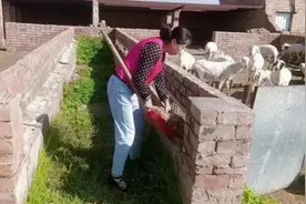 基层动态|盐池县巾帼致富带头人 创业路上展风采图片