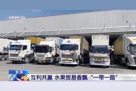 中泰实现“水果自由”，水果贸易香飘“一带一路”图片