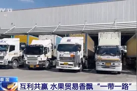 中泰实现“水果自由”，水果贸易香飘“一带一路”图片