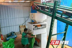 益阳市赫山区：循环种养打造“绿色财富”图片