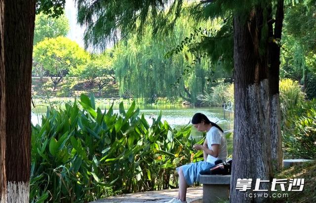 组图｜年嘉湖，美得像一幅画
