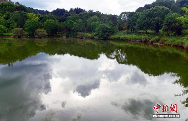 福建武夷山水沁心脾 暑假处处见游客