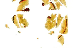 “它们属于中国”！流失美国79载，国宝踏上回家路！价值巨大图片