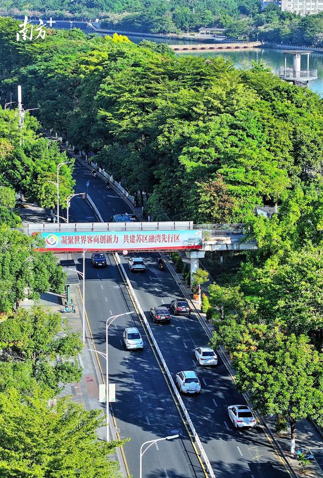 多图丨客都梅州换“盛装”，静待全球客商归