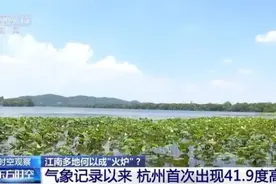 江南多地热成“火炉” 持续高温是否反常？图片