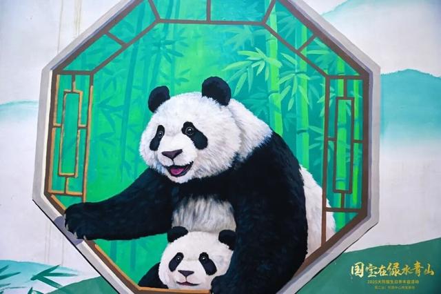 雅安又多了一处熊猫彩绘，你打卡了吗？