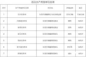 使用违禁药物，东莞13家水产养殖单位被罚，9家在这个镇图片