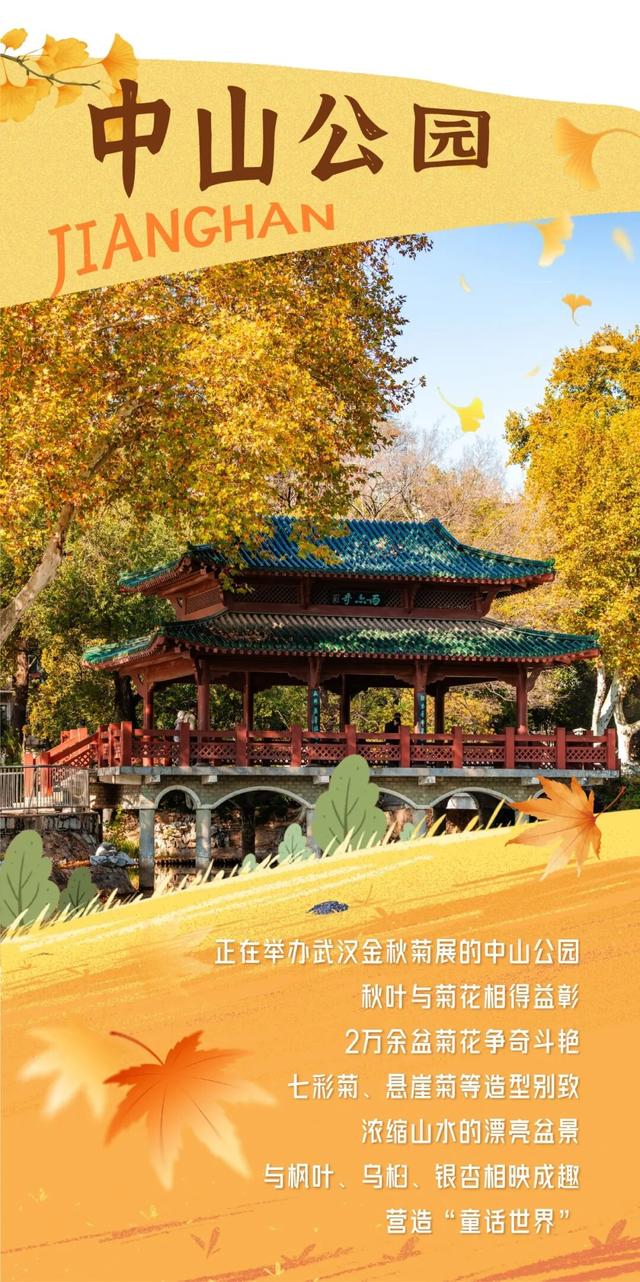 在江汉，听见公园里的秋色私语