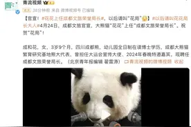 大熊猫“花花”担任成都文旅局荣誉局长图片
