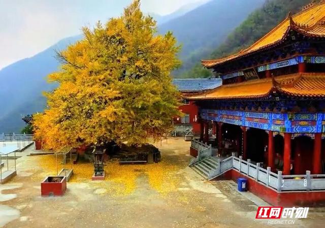 “拾起”最美的秋天 “怀化捡秋地图”来了