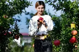 空姐辞职回大凉山卖石榴走红 本人：创业七年甘苦自知图片