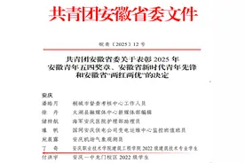 以奋斗书写青春答卷！安庆职业技术学院丁奇同学获省级表彰图片