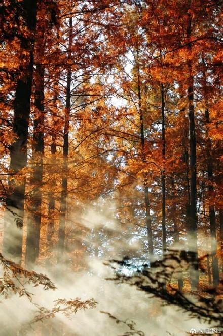 收藏秋日！秋天是写在古都的诗篇