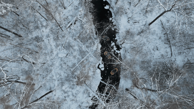 就在明天！解锁安图冰雪王炸玩法→