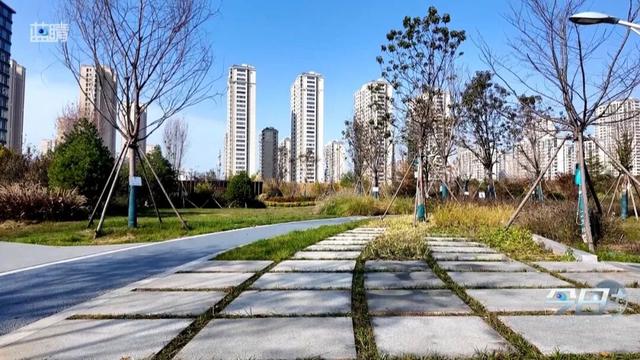 青岛这个公园你去过吗？藏着一个厉害之处……