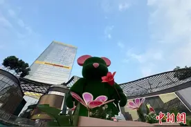 广州迎1961年以来最早的“气候入夏日”图片