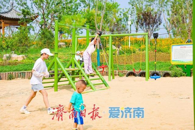 一年四季 泉在济南丨稻风荷语 绿意诗行