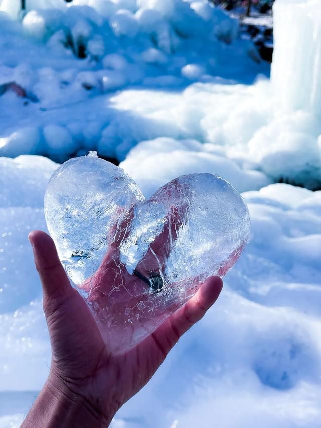 免费申领！白云山冰雪仙境邀您花式玩儿雪！