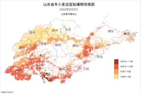 山东发布今年冬小麦适宜始播期预报：接近常年或略偏晚图片