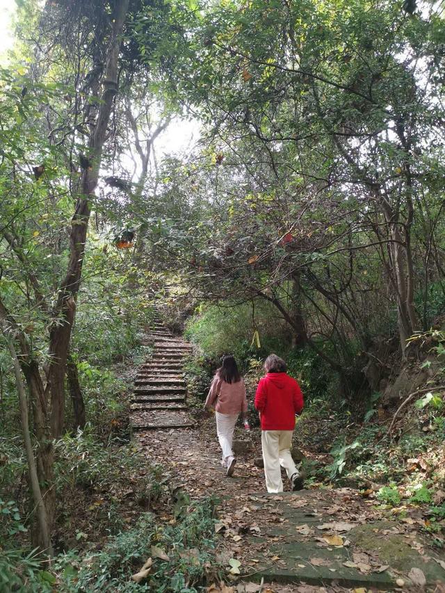 晚潮｜探秘湖州南宋古道：穿越千年与历史对话