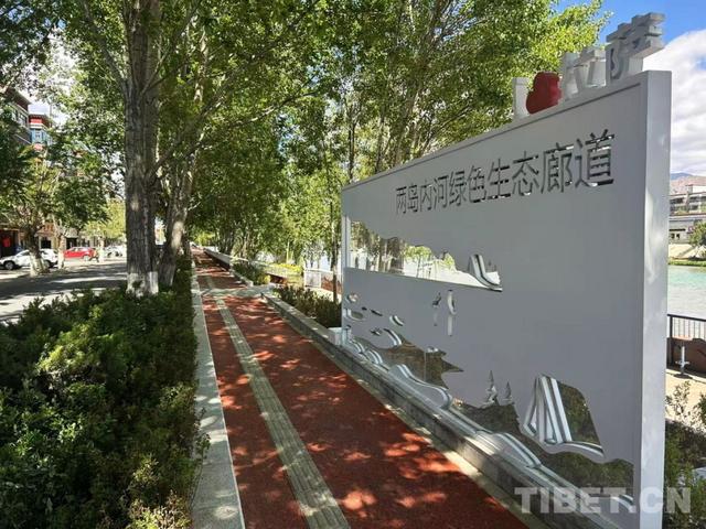 辉煌60年·我们的家园｜昔日荒滩变身美景 拉萨的诗意写在绿水青山间