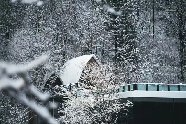 雪假在明天，抓紧来白山——游醉美边境线