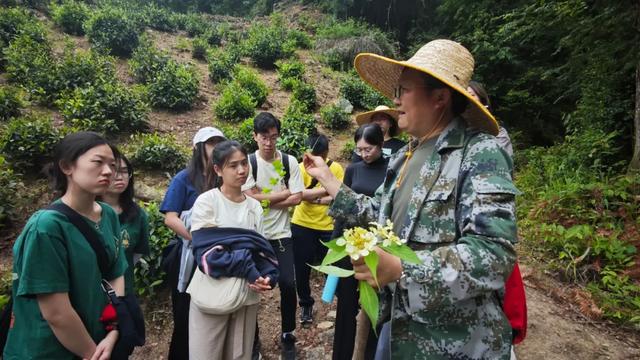 研学去哪儿?这儿有N种选择!