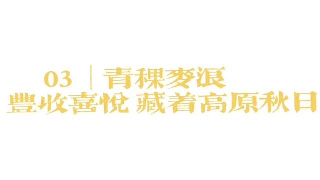 道孚的秋天正在派件中...