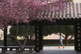 甘肃敦煌：春花扮鸣沙 月泉景如画图片