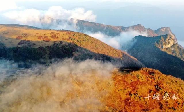 今早，在十堰拍下的！太惊喜了