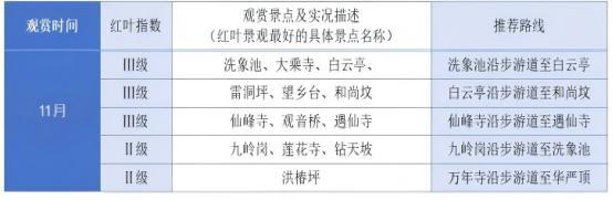 乐山秋日限定最后一波：红叶漫山处，林海踏秋时