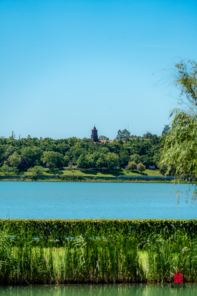 湖北这6座公园,你去过一半算我输!