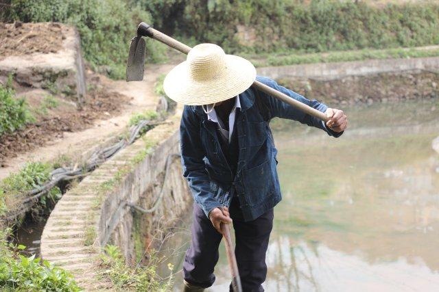 云南首个！元阳哈尼梯田入选世界灌溉工程遗产