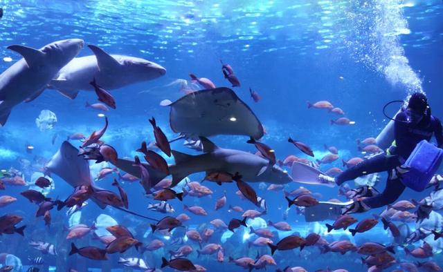 一体化 网格化 市场化机制落地运行 | 群策群力，因地制宜发展新质生产力