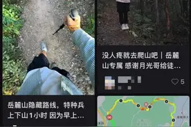 “没人疼就去爬山，爬完浑身疼！”长沙岳麓山一路牌引关注图片